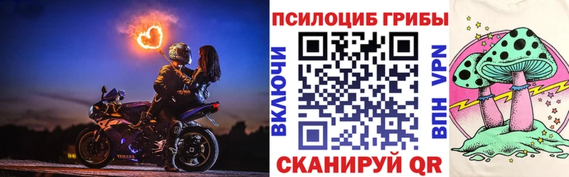 Купить  Нижнекамск  Псилоцибиновые грибы ЛСД 