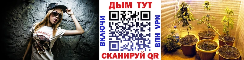 Купить где  Нижнекамск  Шишки марихуана OG Kush 